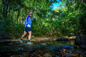 BIB: 201
                            <button type="button" onclick="openModal(21764760)" class="btn btn-primary btn-sm float-right btn-popup" data-toggle="modal" data-target=".modal-high-quality">
                        <i class="fas fa-shopping-cart"></i> Add to Cart
                    </button>
                                            <button type="button" onclick="isThisMe(21764760, true)" class="btn btn-success btn-sm float-right btn-popup btn-isme hidden" data-toggle="tooltip" data-placement="bottom" title="นี่คือรูปของคุณใช่ไหม คลิกที่นี่เพื่อเอาเข้าอัลบั้ม">
                        <i class="fas fa-plus"></i> Add to album
                    </button>
                    <button type="button" onclick="isThisMe(21764760, false)" class="btn btn-warning btn-sm float-right btn-popup btn-isnotme hidden">
                        <i class="fas fa-ban"></i> Remove from album
                    </button>